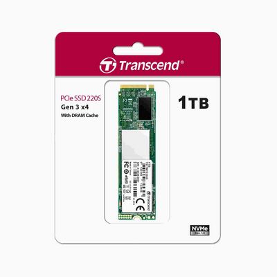 Transcend MTE220S 1TB