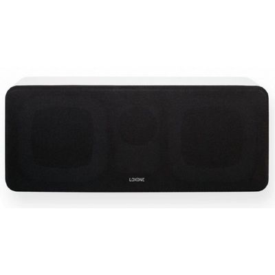 Loxone Wall Speaker