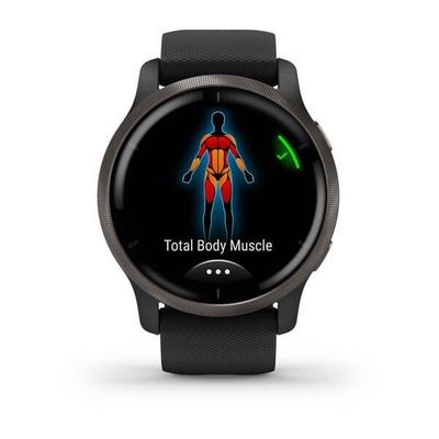 Garmin Venu2 Slate/Black Band