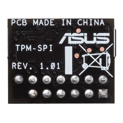 ASUS TPM-SPI