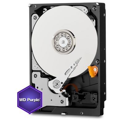 WD Purple 1TB