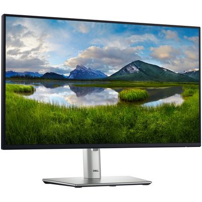 DELL P2425H Professional (210-BMFF)