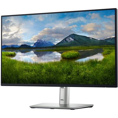 DELL P2425H Professional (210-BMFF)