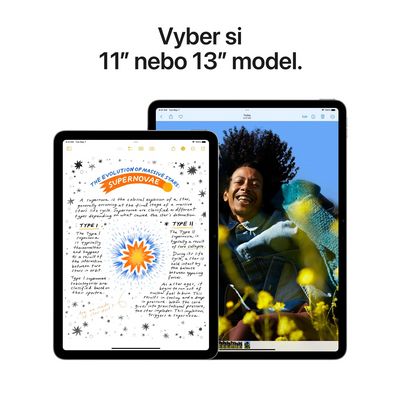 Apple iPad Air M2 2024 11 Wi-Fi 256GB Starlight (MUWJ3HC/A)