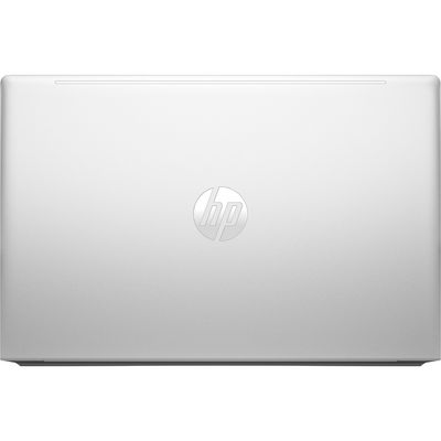 HP ProBook 455 G10 (9Y6Z6AT)