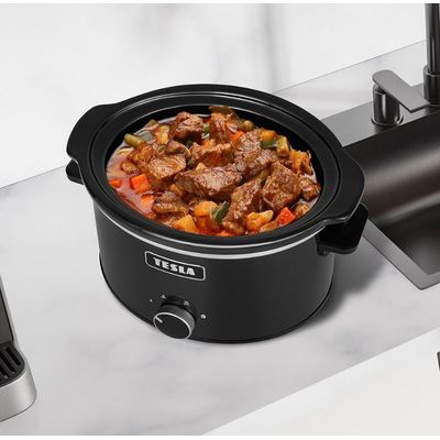 TESLA SlowCook S350